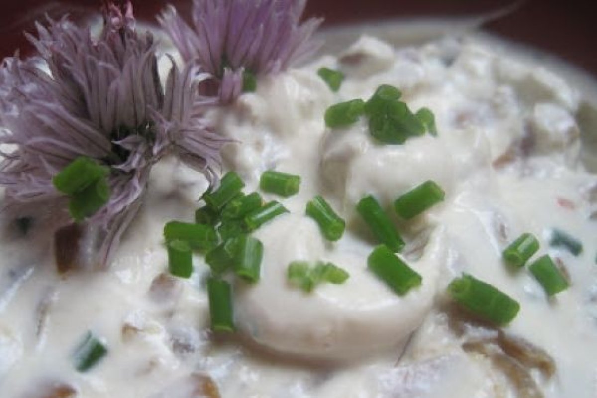 %D7%9E%D7%98%D7%91%D7%9C+%D7%91%D7%A6%D7%9C+%D7%9E%D7%A7%D7%95%D7%A8%D7%9E%D7%9C